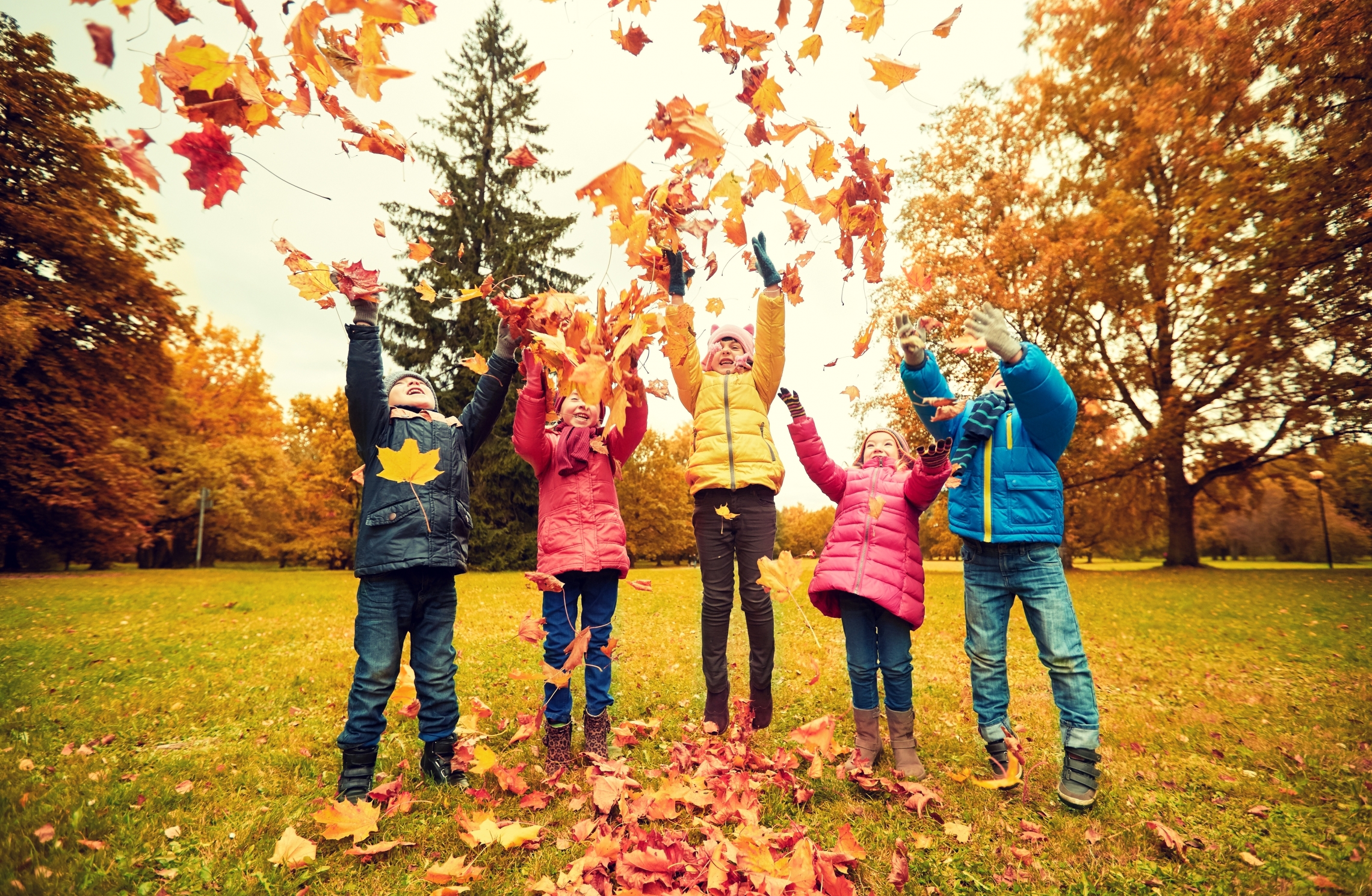 Fall
