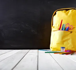 Backpack Drive