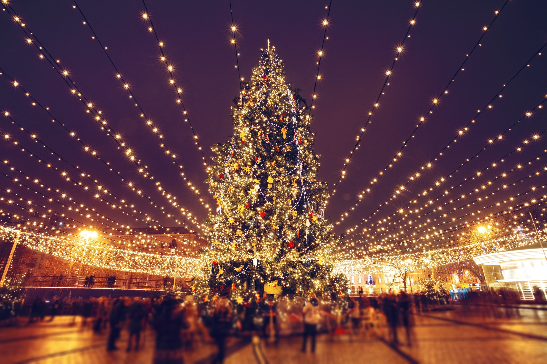 CHRISTMAS LIGHTS