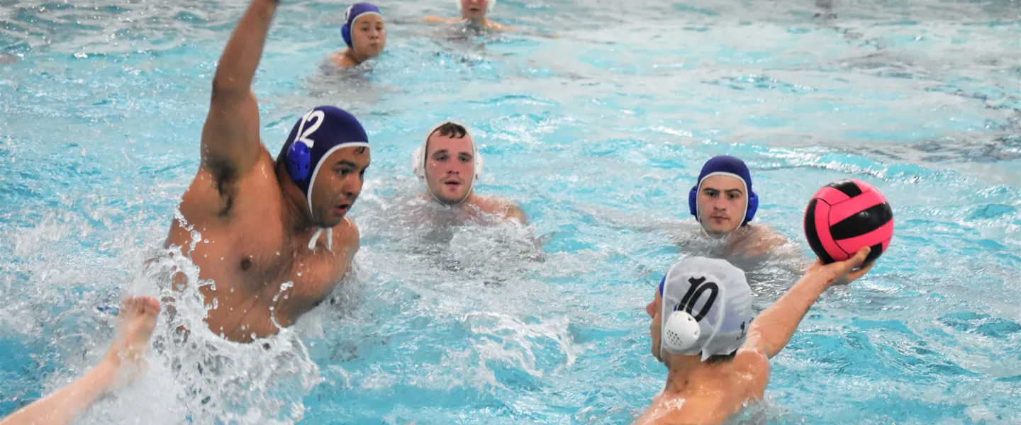 Several adults play water polo in a pool