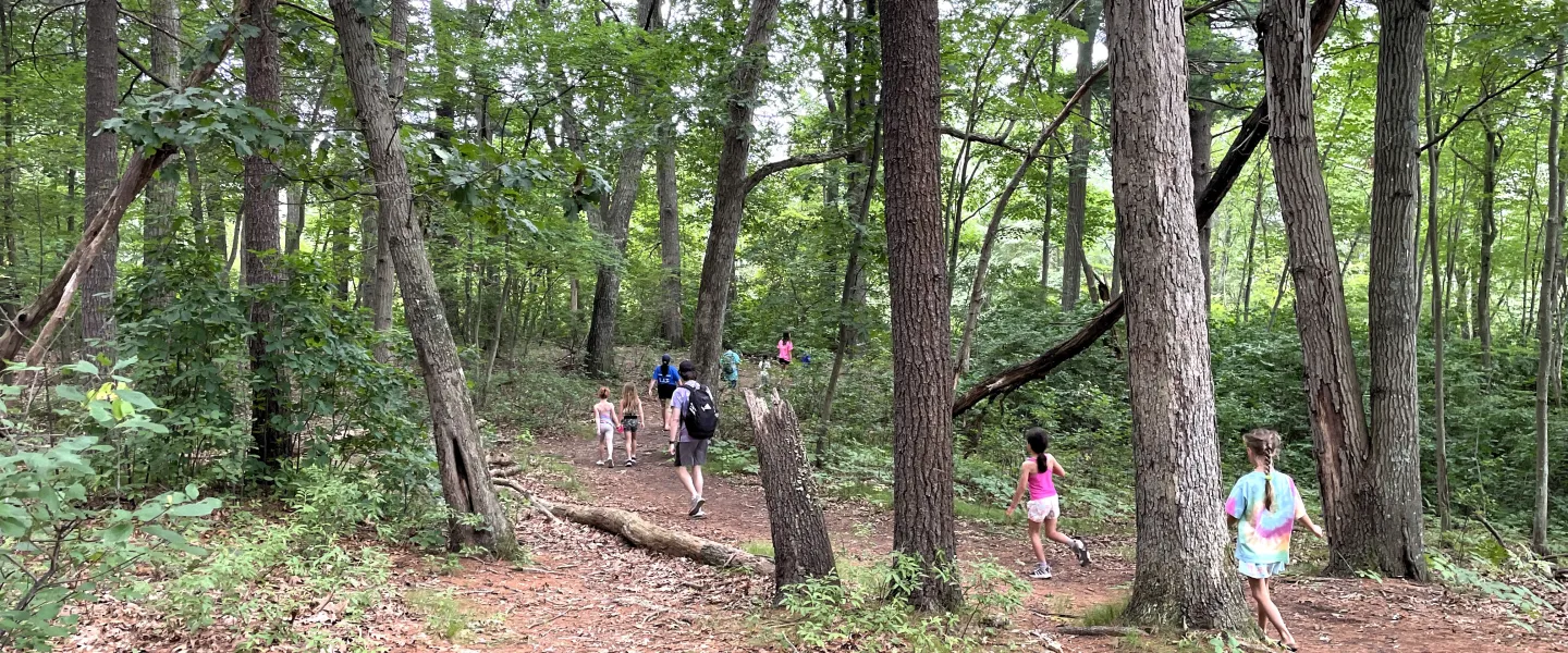 Consulars take their campers on a hike through the woods.