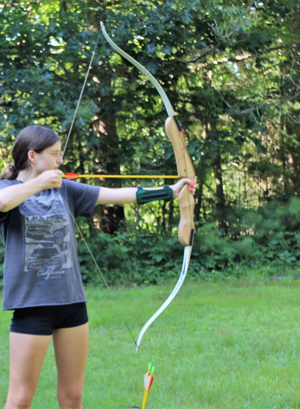 Archery picture