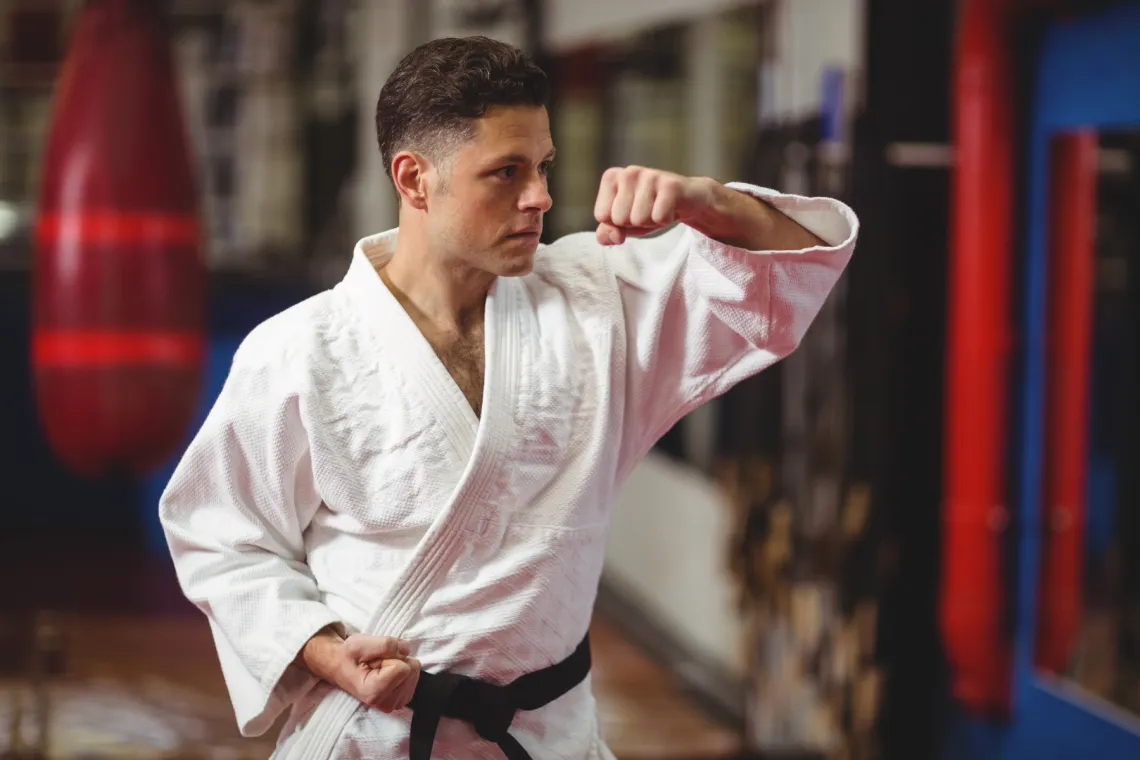 Adult practicing karate