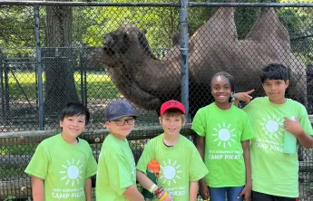 camp pikati campers pose in front of a camel at the zoo