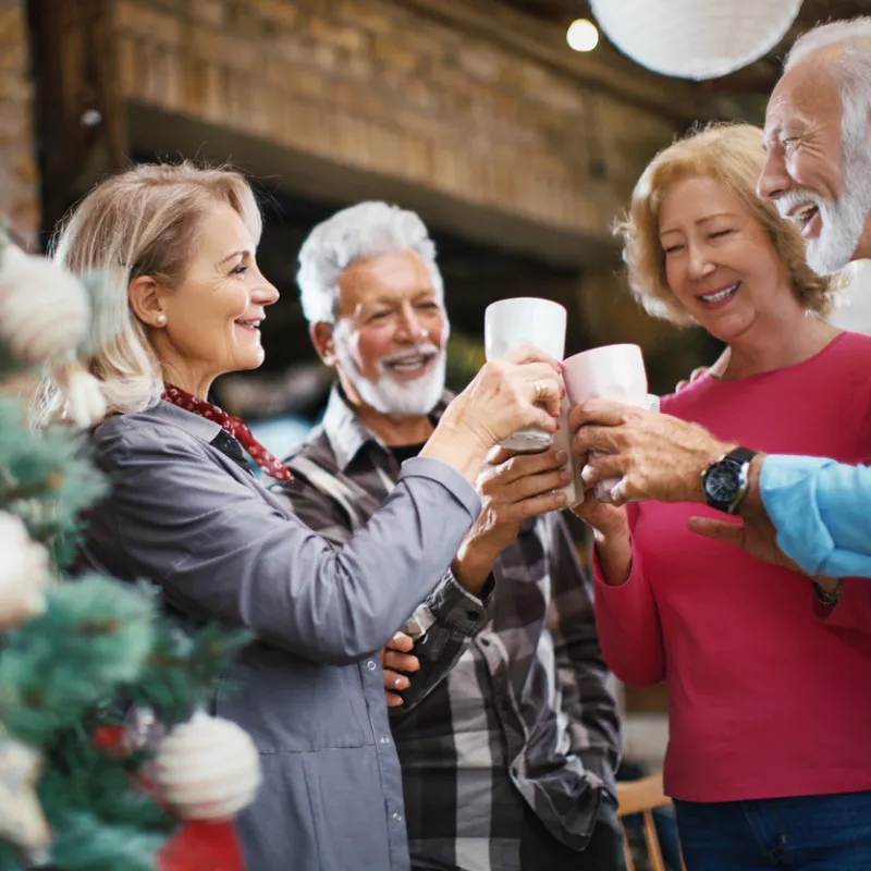 Join fellow Active Older Adults for a fun holiday party.
