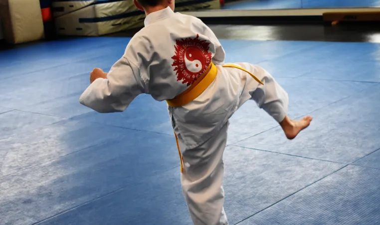The YMCA of Central Kentucky's martial arts programs teach kids (and adults) how to build confidence and positive physical habits.