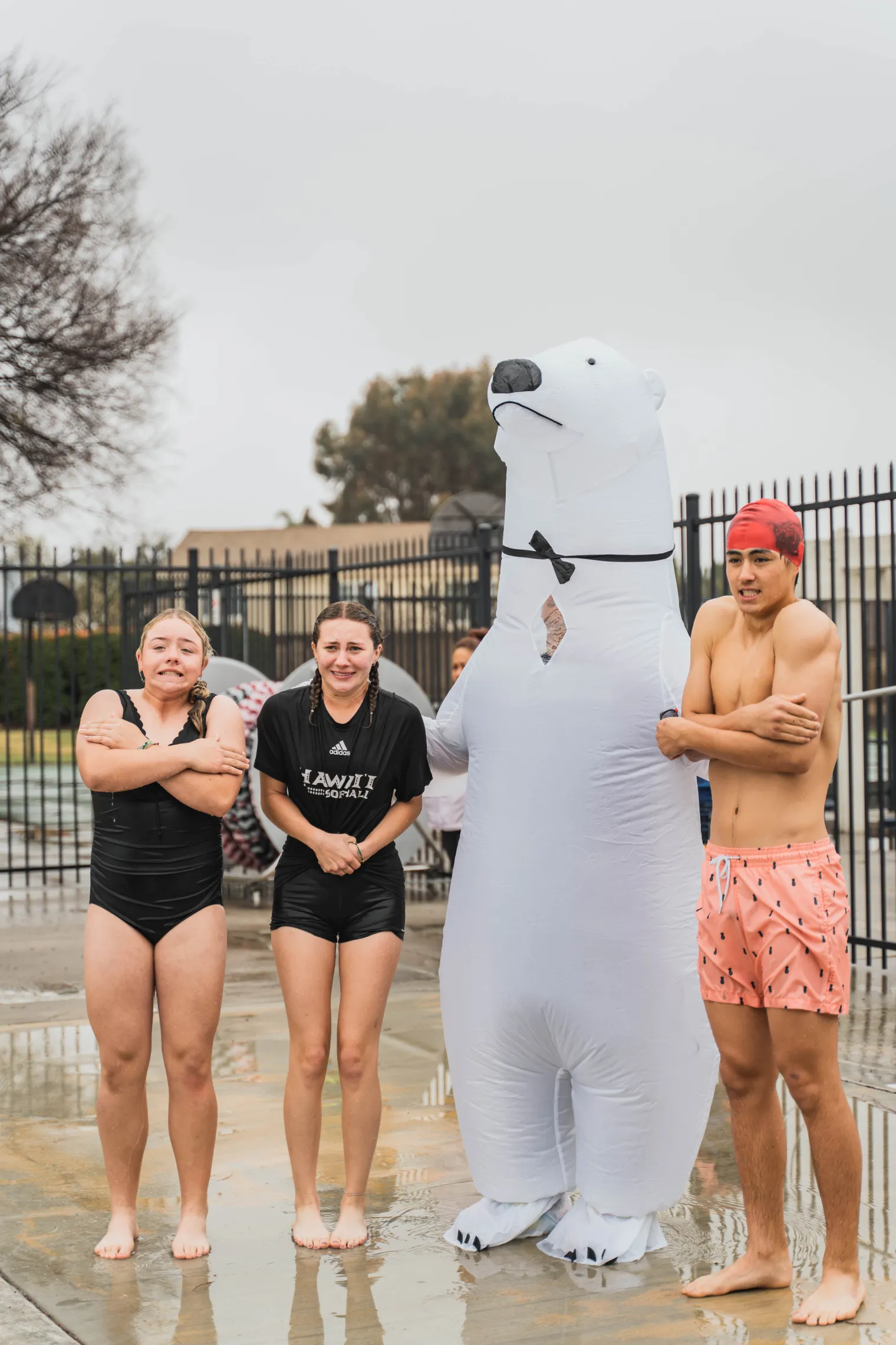 Tropical Polar Bear Swim