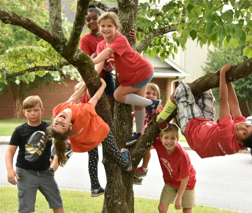 Day campers climb a tree