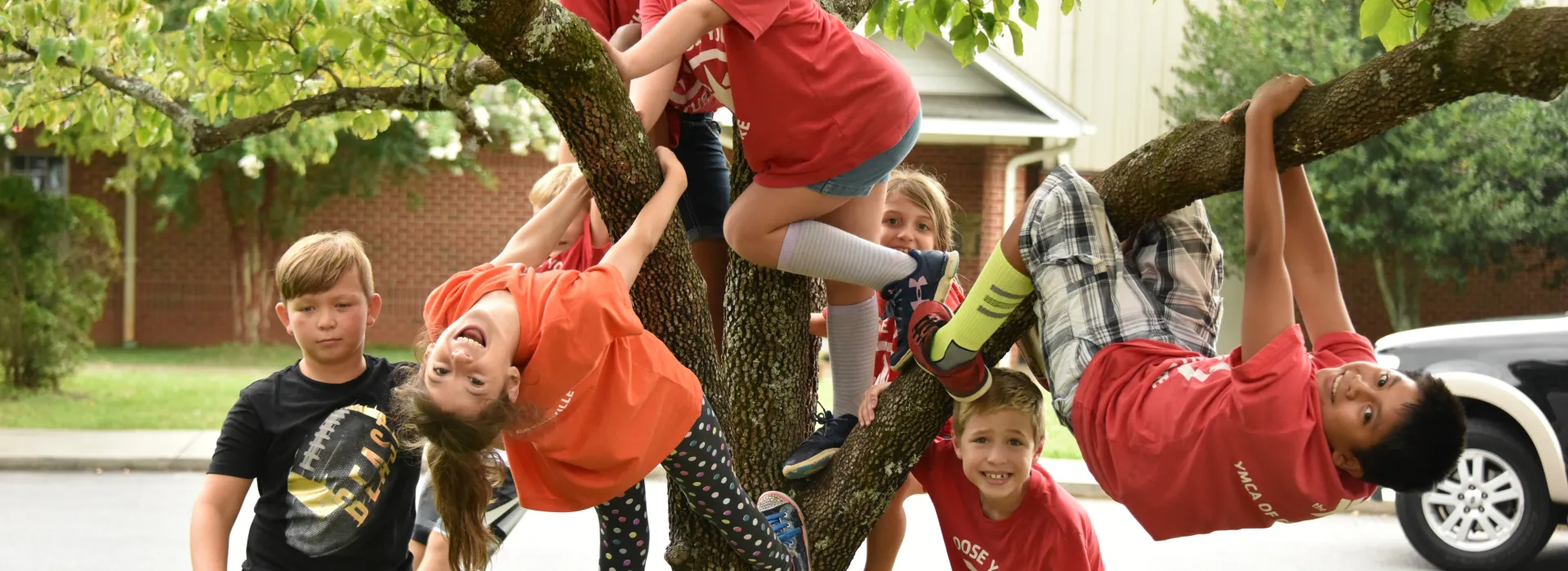 Day campers climb a tree