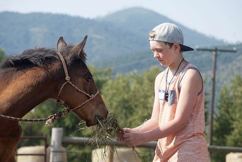 a teenager with backwards baseball cap feeding hay to a small horse