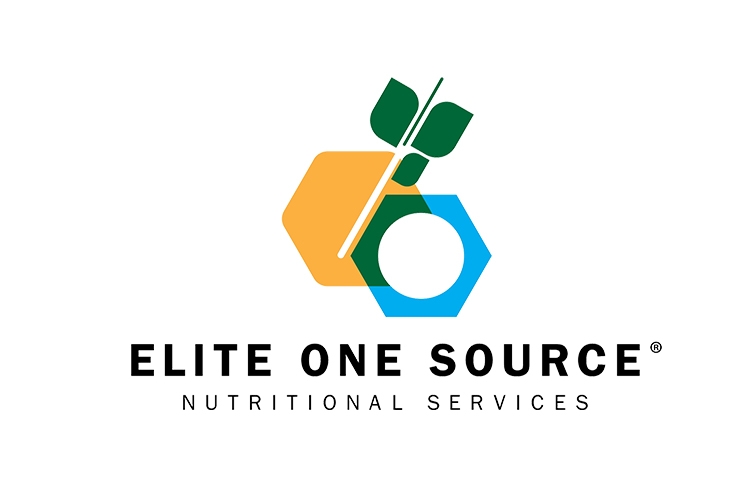 business logo for elite one