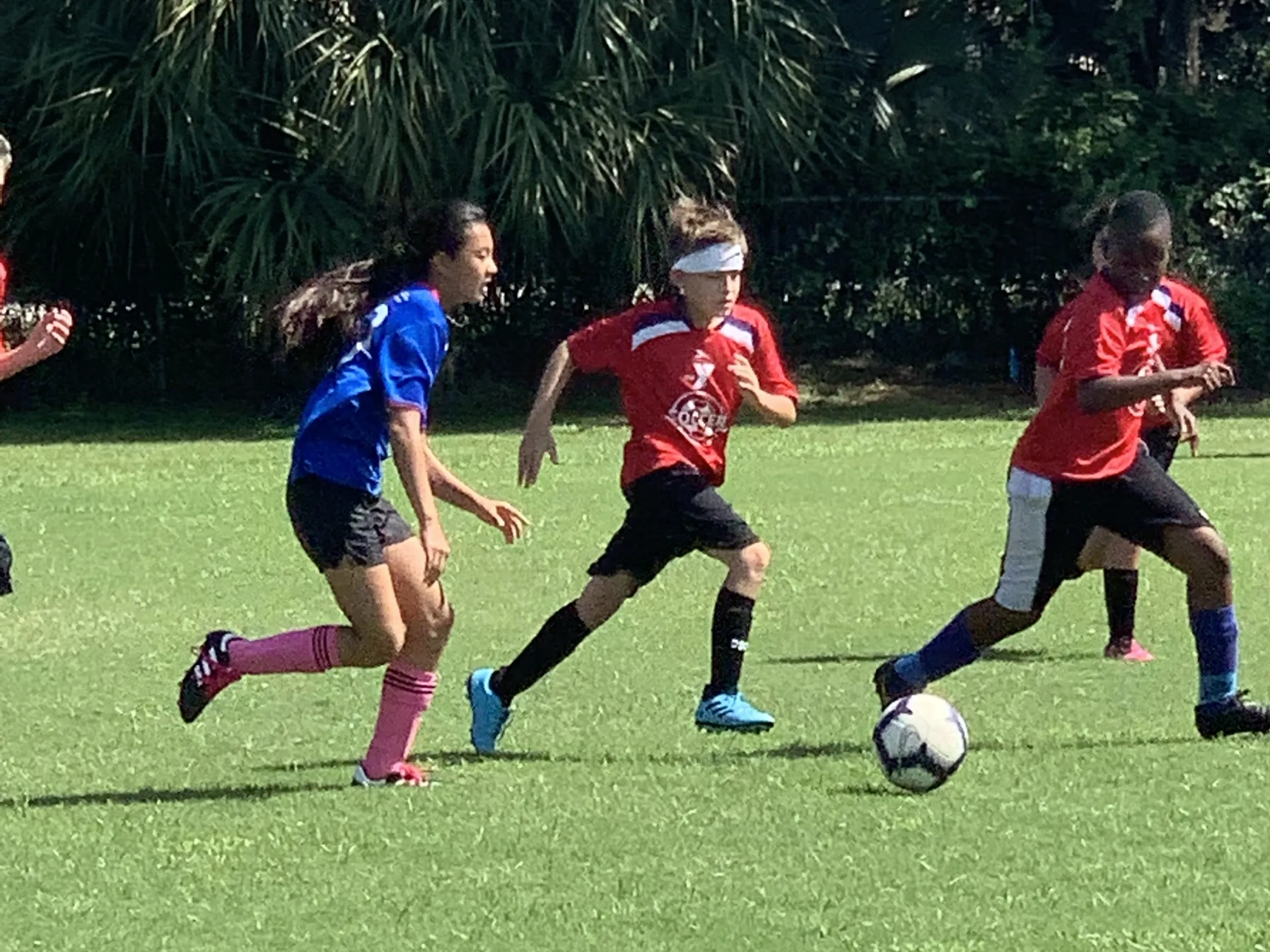 Youth Sports | YMCA Of South Palm Beach County